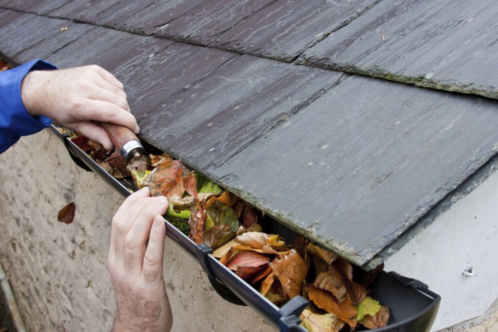 5 Essential Reasons to Keep Your Gutters Clean and Maintained